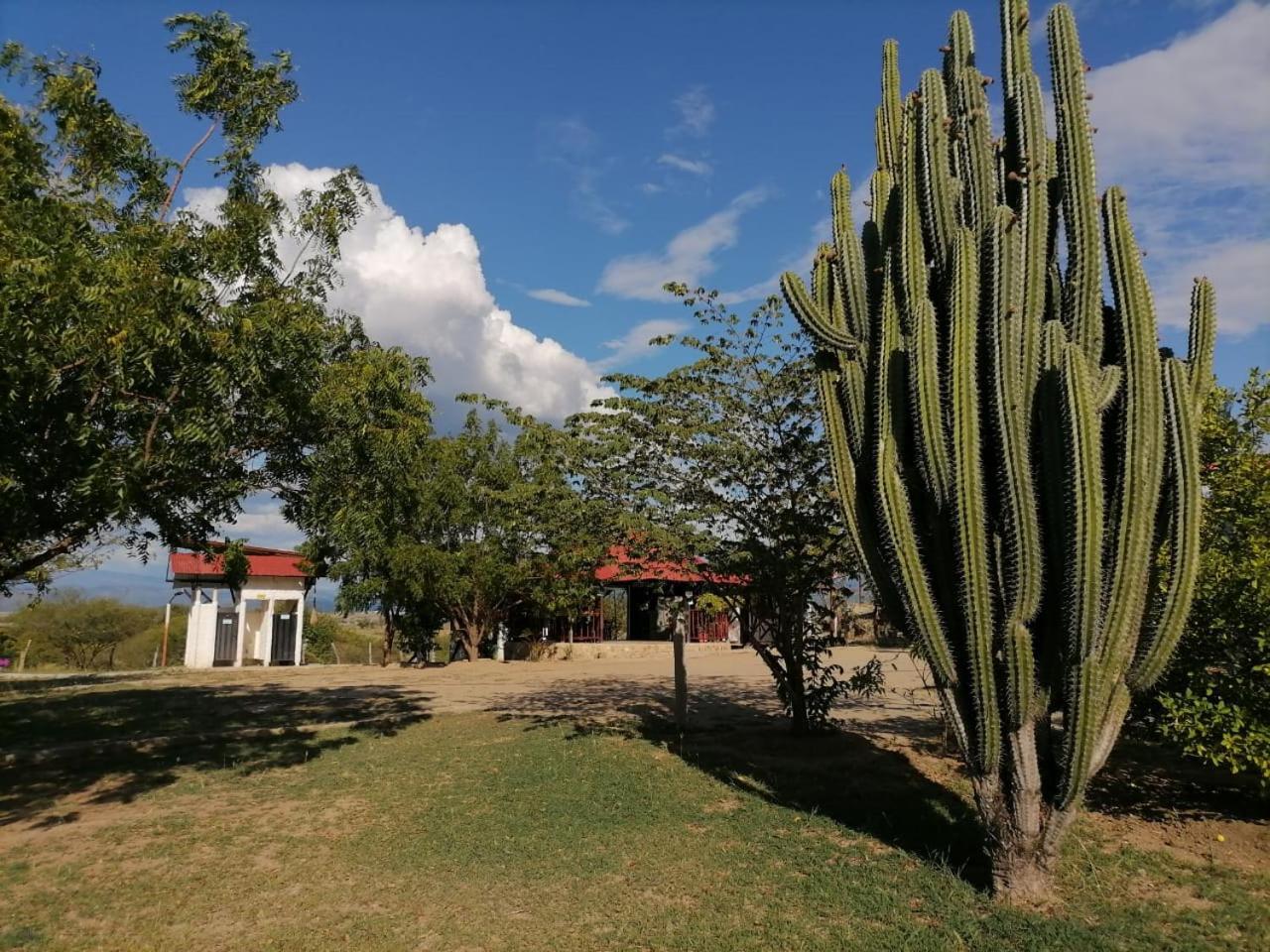 Payande - Tatacoa Villavieja Exterior foto